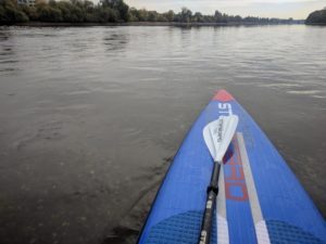 News 10 SUP auf einem Rhein-Nebenarm