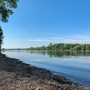 News 8 SUP Stand in Mainz-Kastel